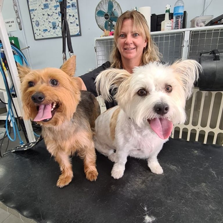 Home K9 Groomers Orewa Dog Groomers